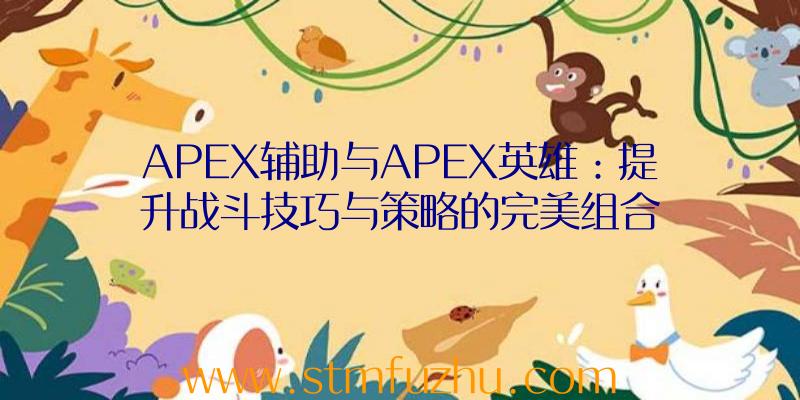 APEX辅助与APEX英雄：提升战斗技巧与策略的完美组合