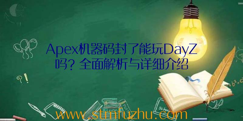 Apex机器码封了能玩DayZ吗？全面解析与详细介绍