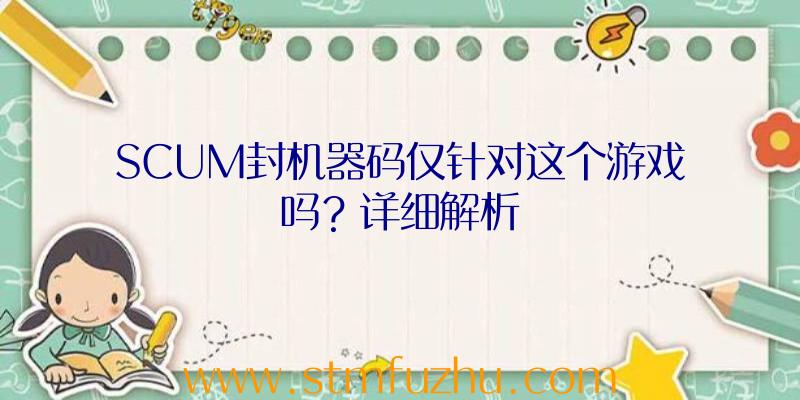 SCUM封机器码仅针对这个游戏吗？详细解析