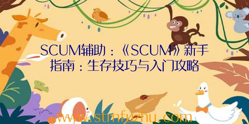 SCUM辅助：《SCUM》新手指南：生存技巧与入门攻略