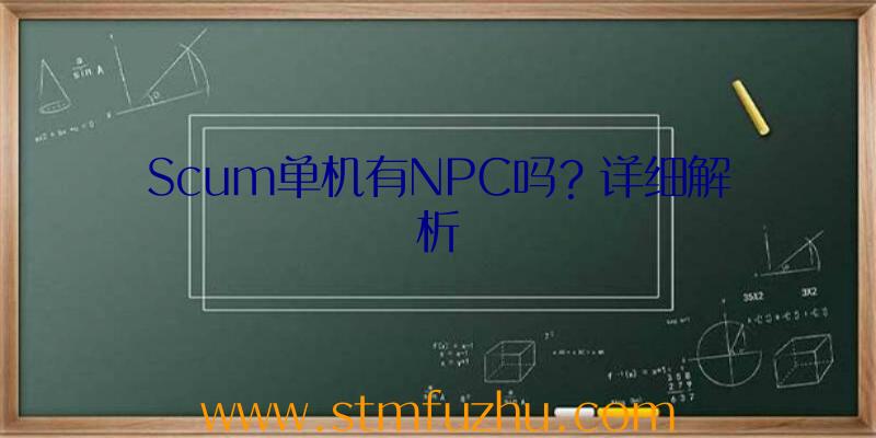 Scum单机有NPC吗？详细解析