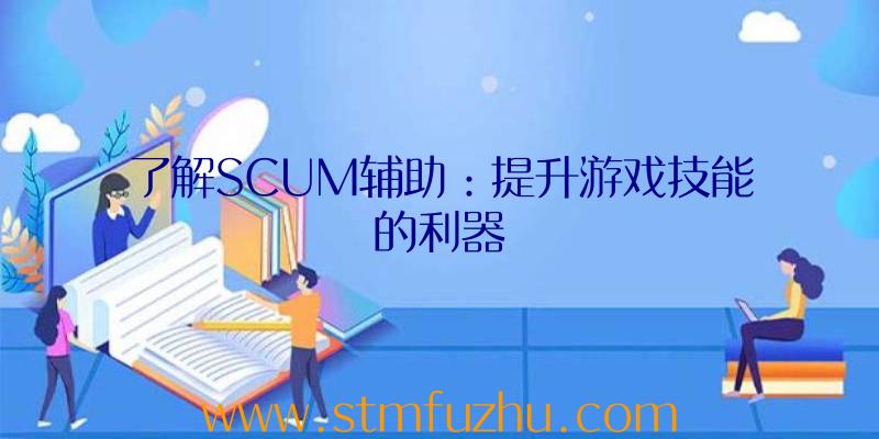 了解SCUM辅助：提升游戏技能的利器