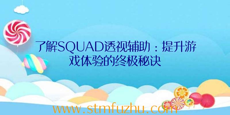 了解SQUAD透视辅助：提升游戏体验的终极秘诀