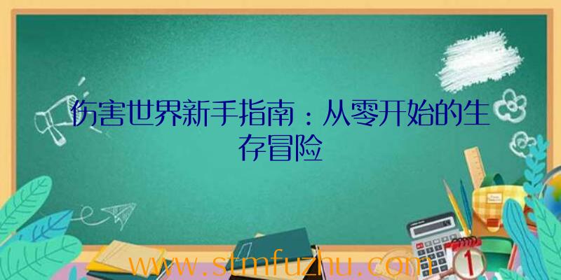 伤害世界新手指南：从零开始的生存冒险