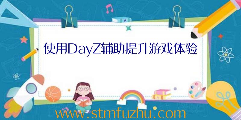 使用DayZ辅助提升游戏体验