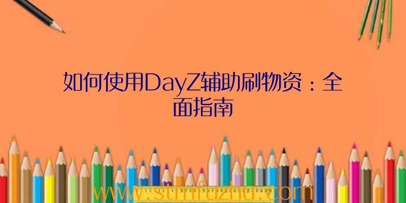 如何使用DayZ辅助刷物资：全面指南