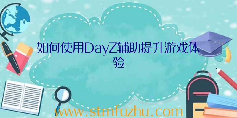 如何使用DayZ辅助提升游戏体验