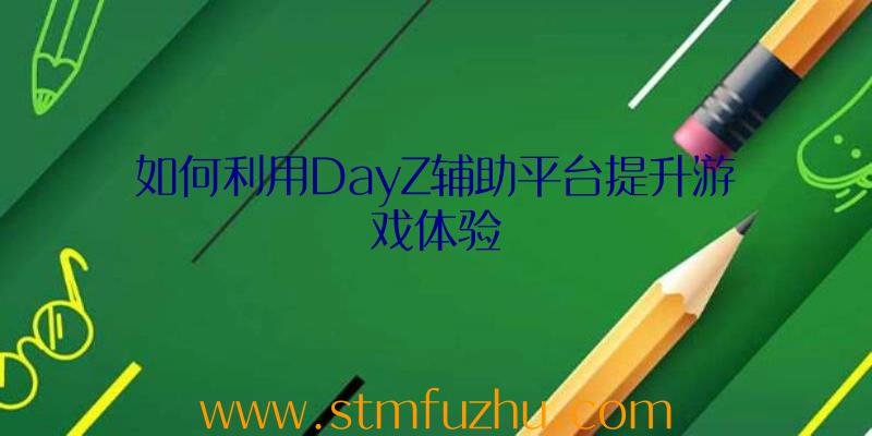 如何利用DayZ辅助平台提升游戏体验