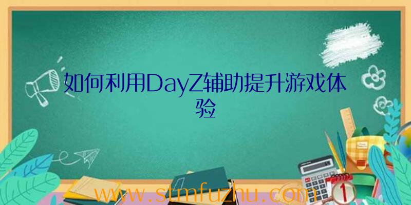 如何利用DayZ辅助提升游戏体验