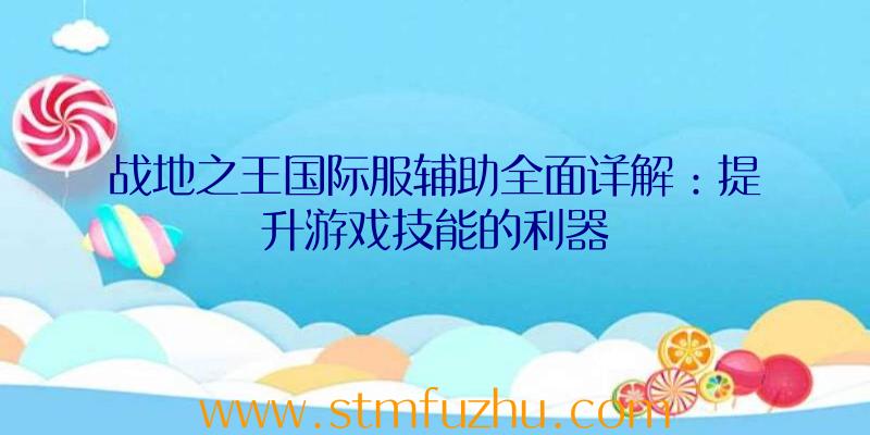 战地之王国际服辅助全面详解：提升游戏技能的利器