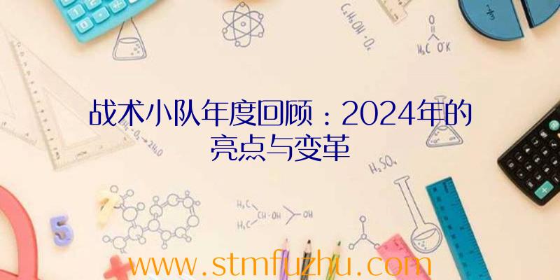 战术小队年度回顾：2024年的亮点与变革