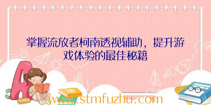 掌握流放者柯南透视辅助，提升游戏体验的最佳秘籍