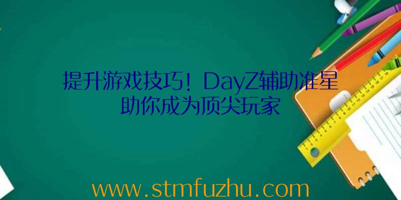 提升游戏技巧！DayZ辅助准星助你成为顶尖玩家