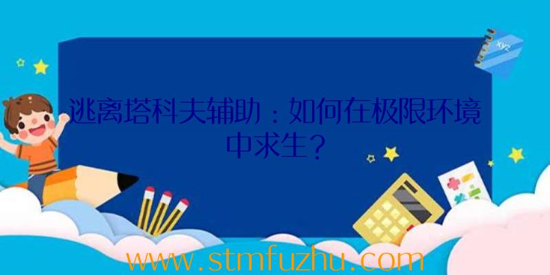 逃离塔科夫辅助：如何在极限环境中求生？